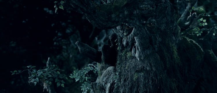 An ancient Ent named Treebeard appears in 2002’s The Lord of the Rings: The Two Towers