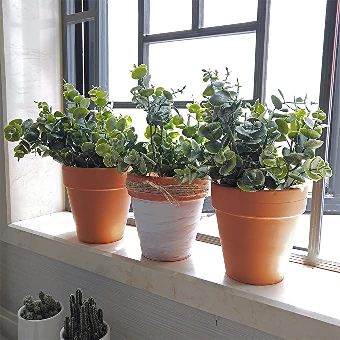 Supla Faux Eucalyptus Leaves (3-Pack)