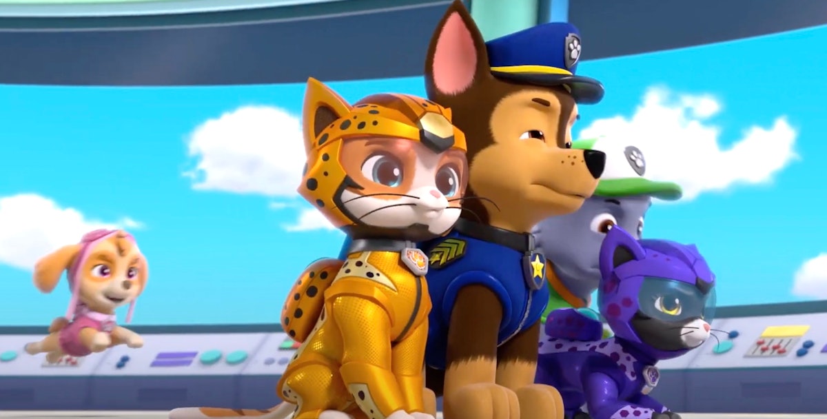 Paw Patrol Drops Surprise Cat Centric Spin Off Movie Cat Pack