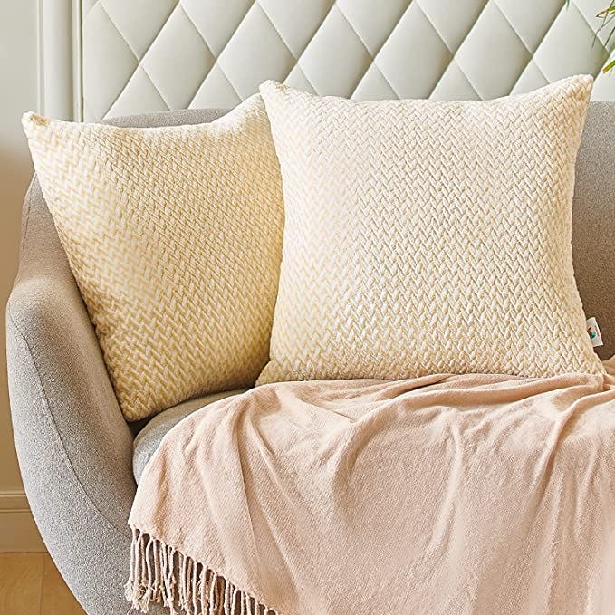 PAULEON Throw Pillow Covers (Set of 2)