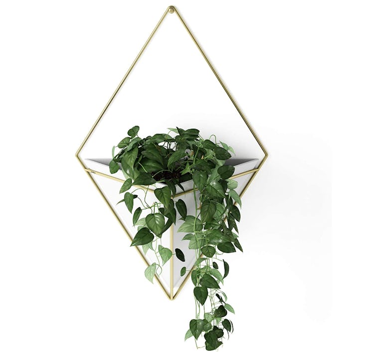 Umbra Hanging Planter Vase