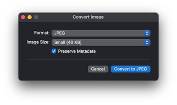 After clicking Convert Image, you can choose the format and image size to convert the HEIC file to.