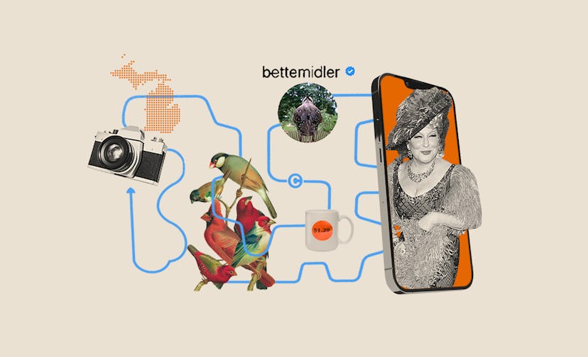 Bette Midler, twitter and social media rabble-rouser of late, used photos of birds by a Michigan pho...