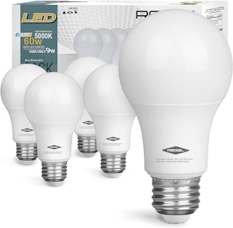 Regal LED Light Bulb (5-Pack)