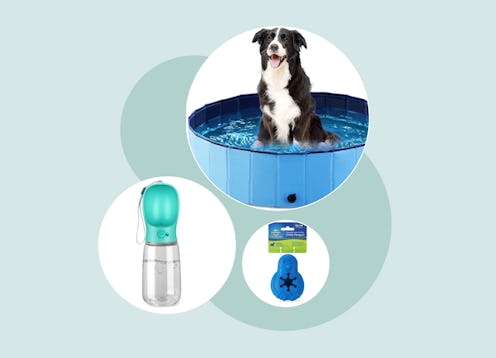 The best dog toys for every summer occasion.