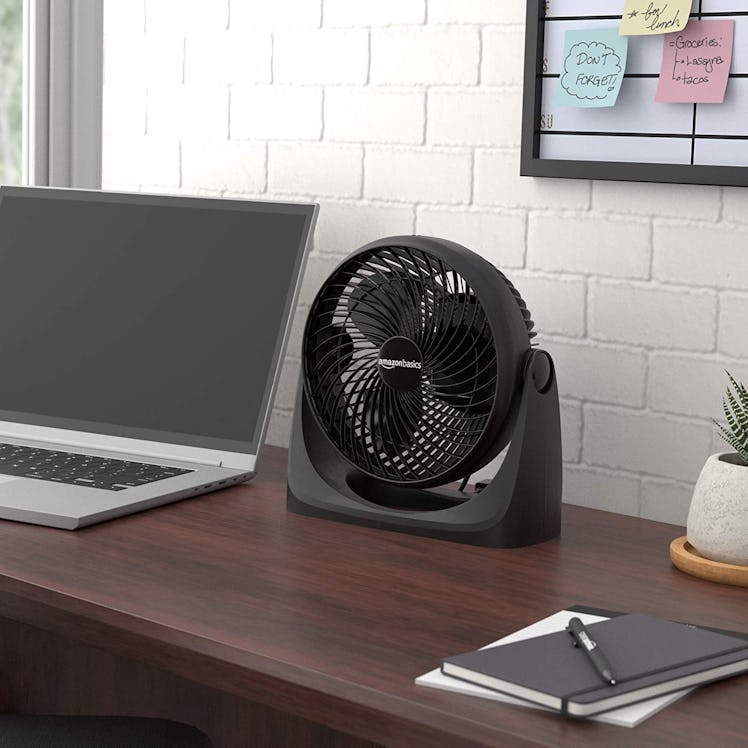 Amazon Basics Small Room Air Circulator Fan