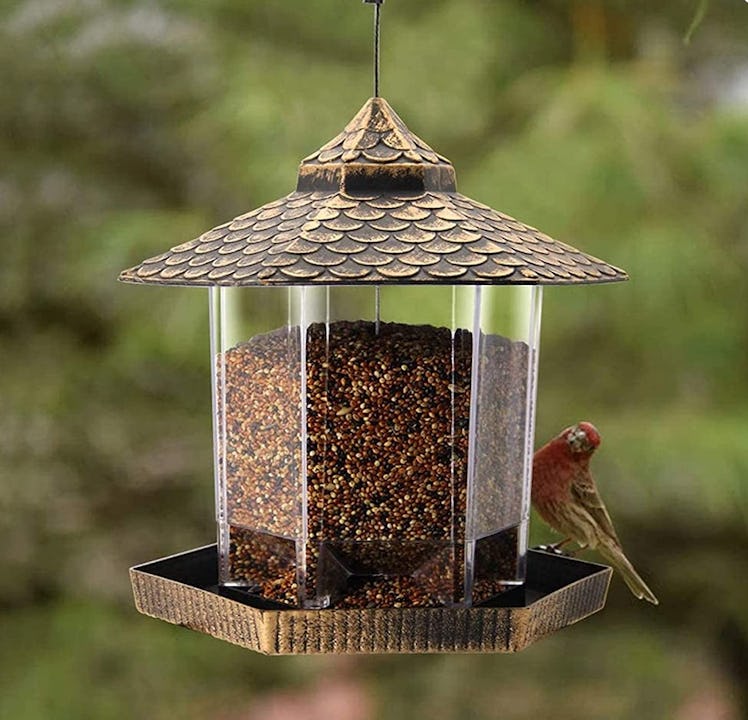 Twinkle Star Bird Feeder