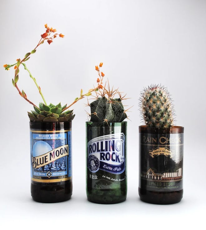 Beer Bottle Glasses Planters 