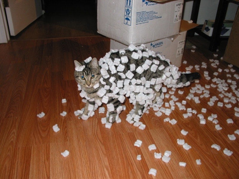 cat styrofoam balls