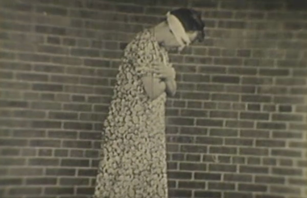 Catatonia Bodyfreezing brain condition reveals a mindbody connection