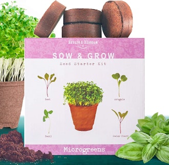 Nature’s Blossom Microgreens Sprouting Kit 