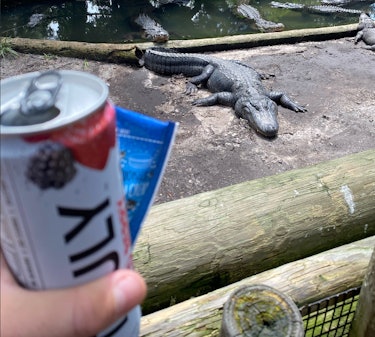 Photo of Seth Kaplan at a Gatorland exhibit holding a Truly can