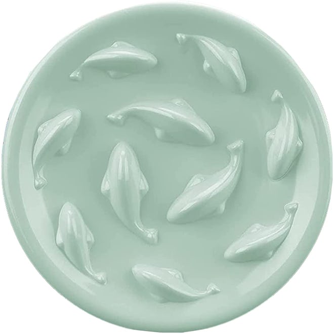 Cilkus Slow Feeder Bowl For Cats