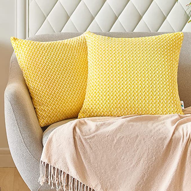 PAULEON Throw Pillow Covers (Set of 2)