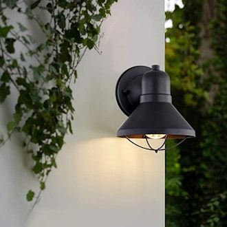 ARPENTER Outdoor Wall Light Fixtures (2-Pack)