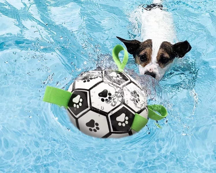 QDAN Soccer Ball Toy