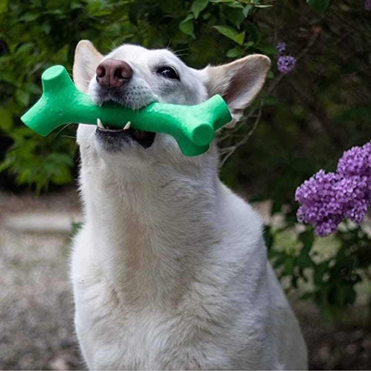 Pet Qwerks Chew Stick 