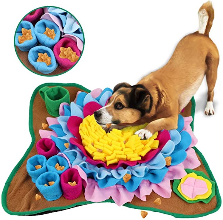 Pet Race Snuffle Mat