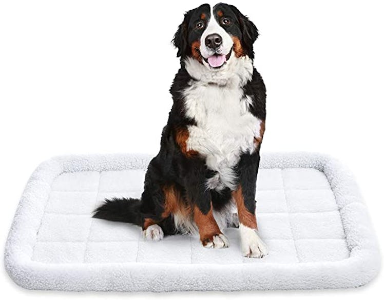 mazon Basics Faux-Sherpa Pet Bed