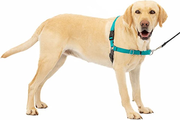PetSafe No-Pull Dog Harness