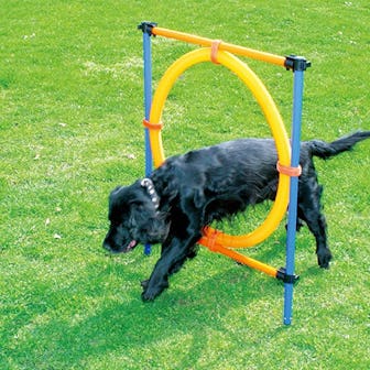 PAWISE Outdoor Training Equipment