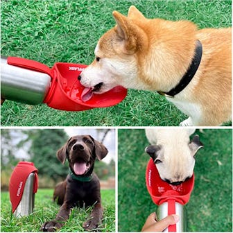 Tuff Pupper Dog Water Bottle