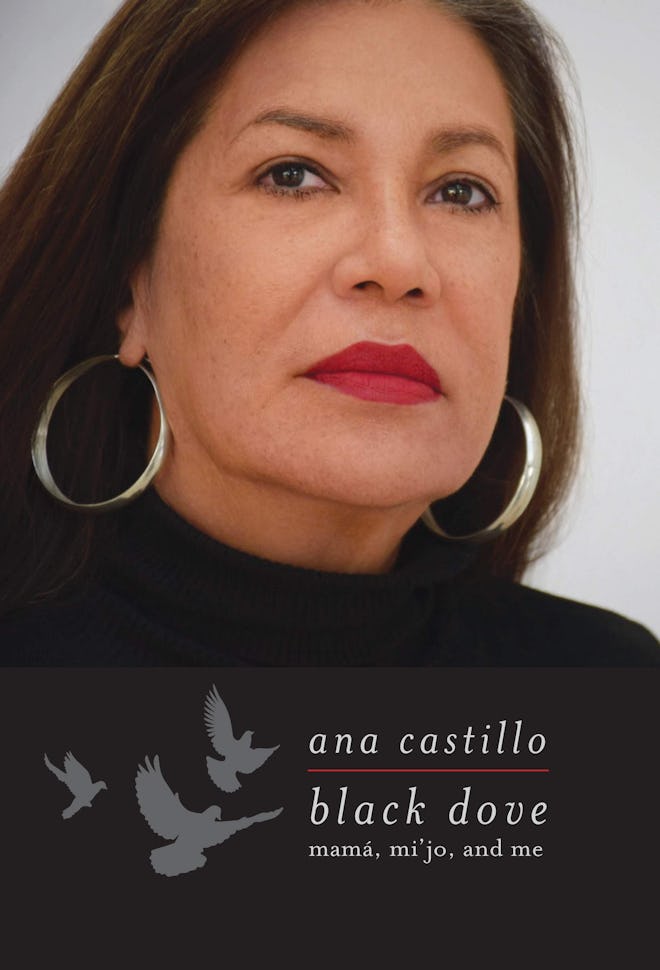'Black Dove: Mamá, Mi’jo, and Me' by Ana Castillo