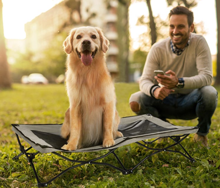 Veehoo Foldable Elevated Dog Bed