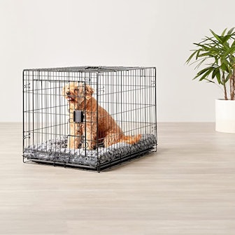 Amazon Basics Metal Wire Dog Crate