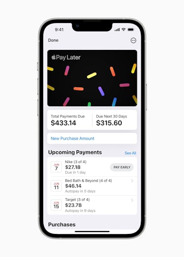 Apple Pay Later for mixed reality headset