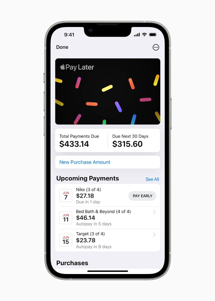 Apple Pay Later for mixed reality headset