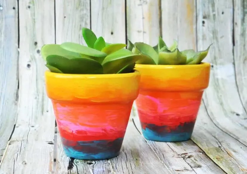 rainbow flower pots/pride crafts