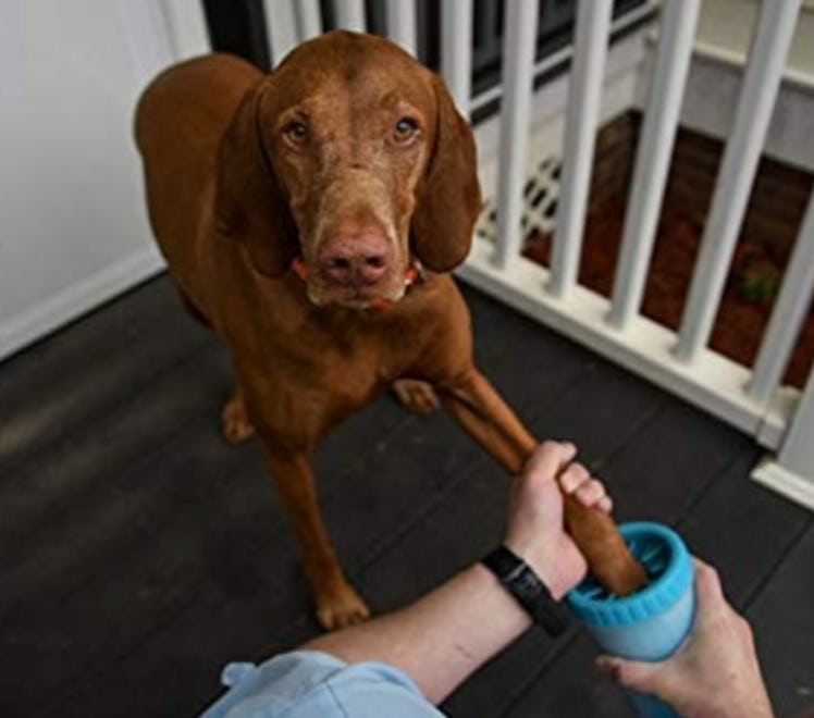 Dexas Portable Paw Cleaner