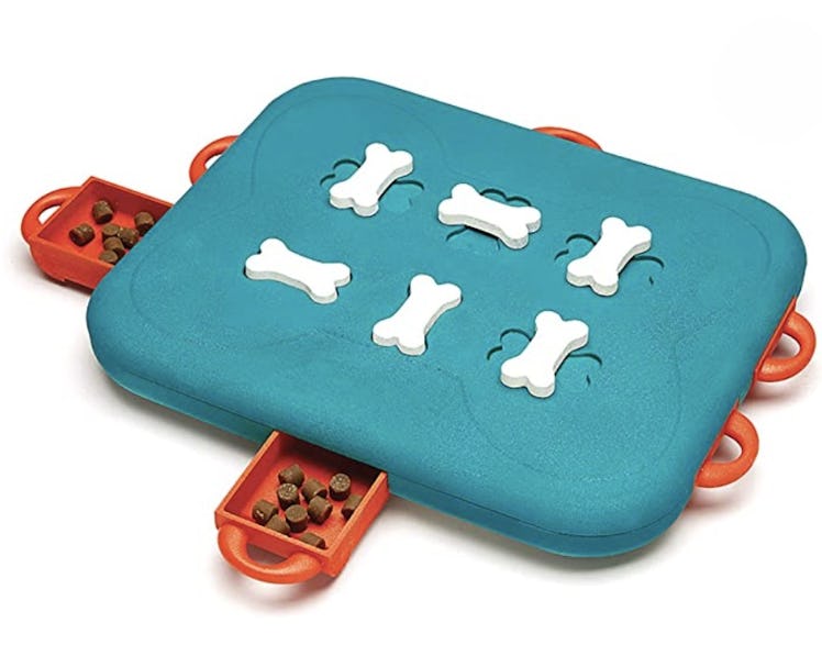 Outward Hound Interactive Treat-Dispensing Puzzle