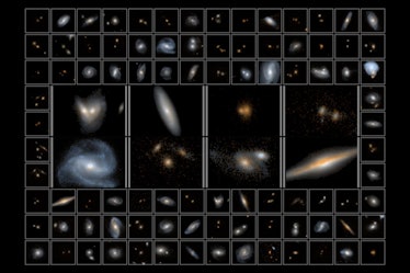 Dozens of galaxies are placed side by side in this composite image. 