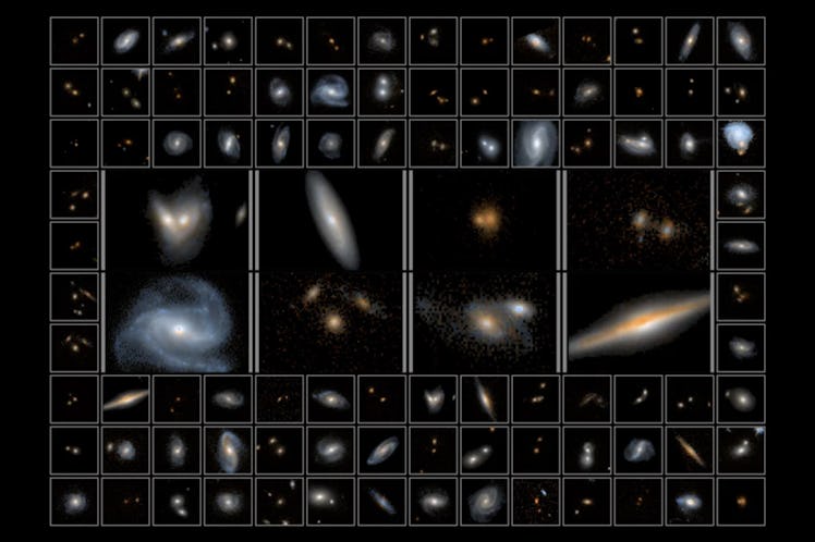 Dozens of galaxies are placed side by side in this composite image. 