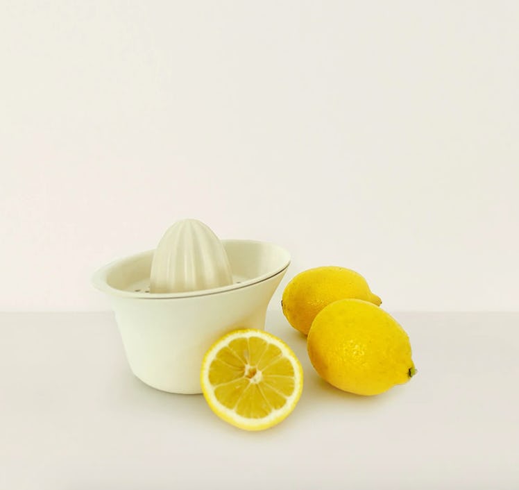 Citrus Juicer