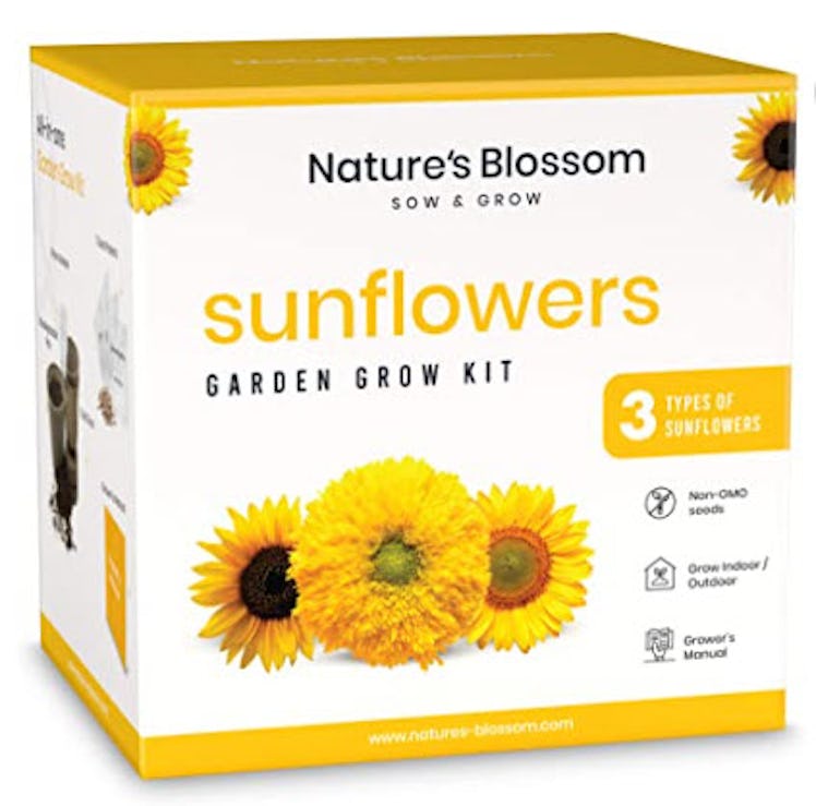 Nature's Blossom Sunflowers Garden Kit