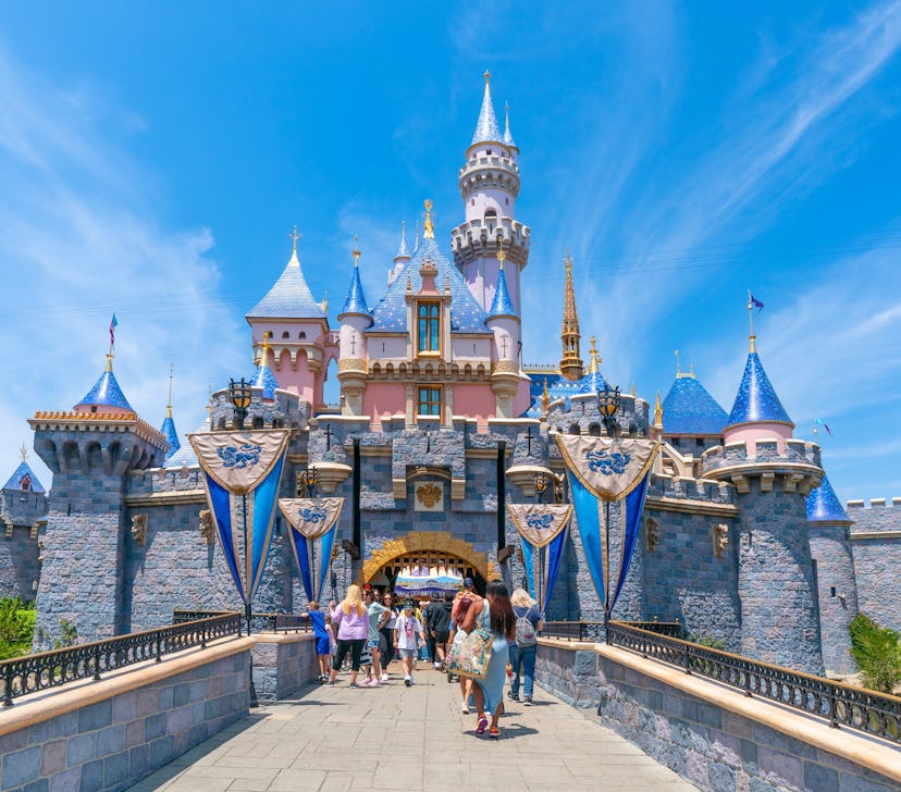 Disneyland has some rides that are worth the wait.