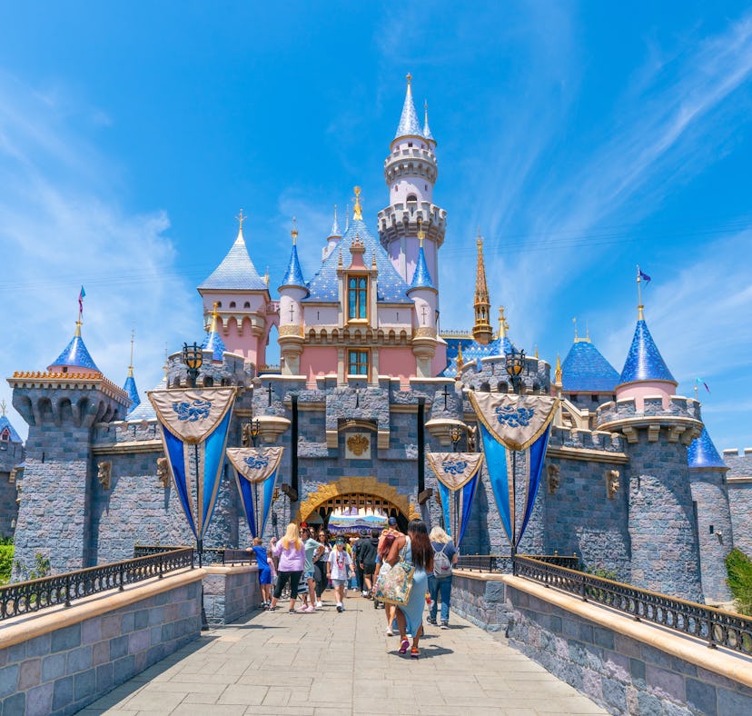 Disneyland has some rides that are worth the wait.