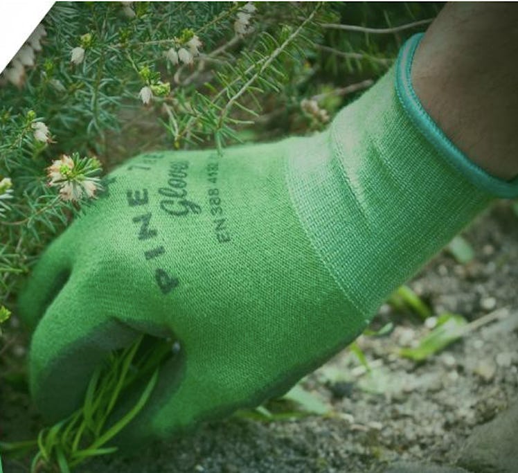 Pine Tree Tools Gardening Gloves