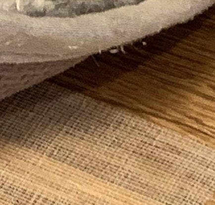 NeverCurl Double Sided Extra Thick Rug Tape