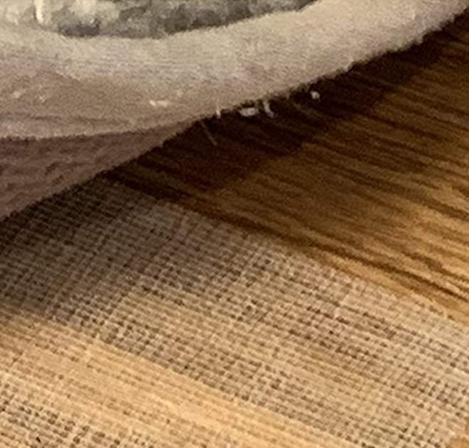 NeverCurl Double Sided Extra Thick Rug Tape