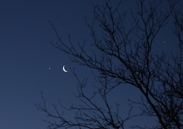 Venus, the Moon, and Jupiter in 2019.