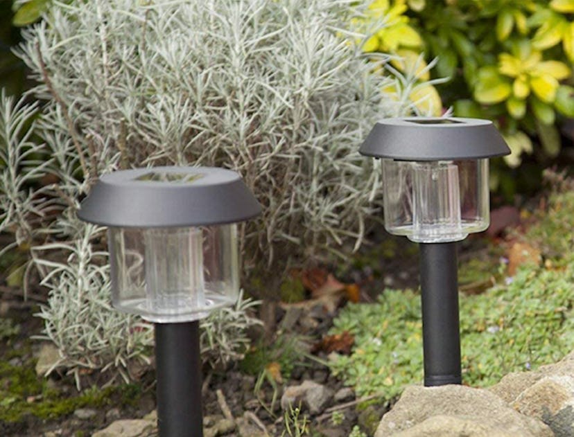 Simple garden solar lights are perfect for illuminating backyard pathways.