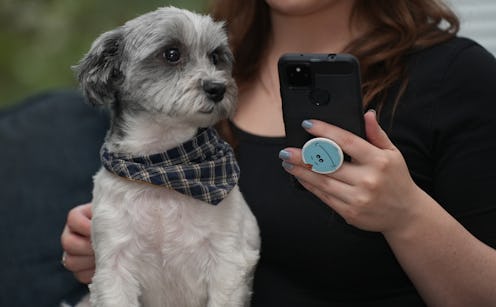 Popsocket In Use With Cute Dog