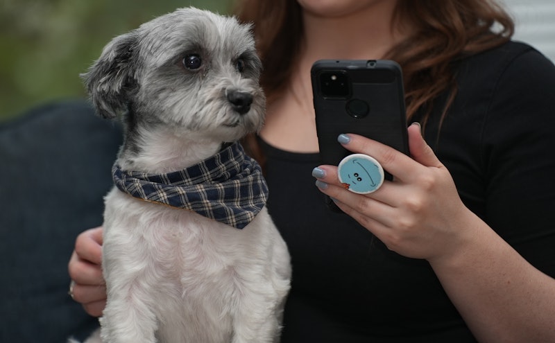 Popsocket In Use With Cute Dog