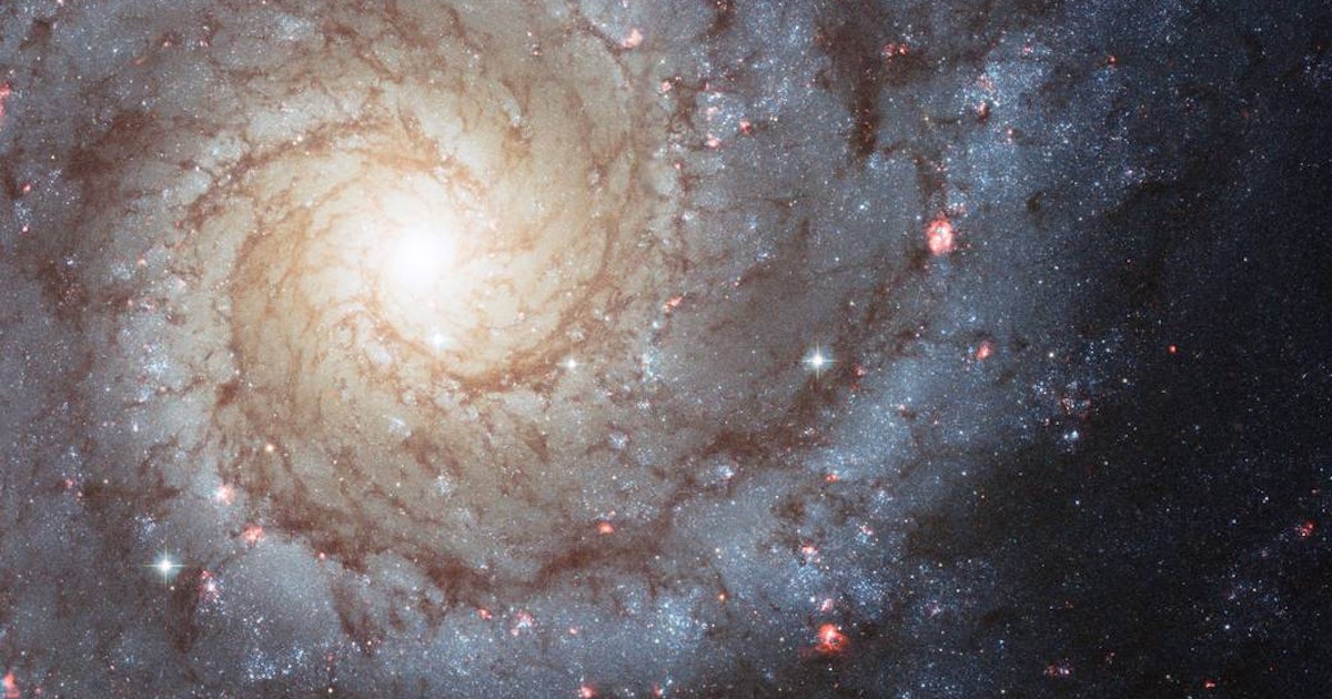 Los astrónomos descubren una estrella peculiar con una característica galáctica sorprendente