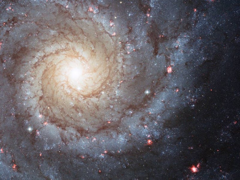 spiral galaxy