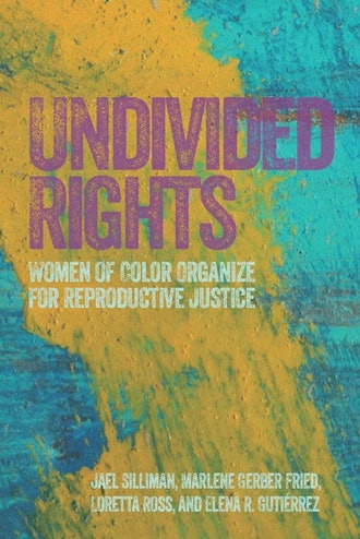 'Undivided Rights: Women of Color Organizing for Reproductive Justice' by Jael Silliman, Marlene Ger...